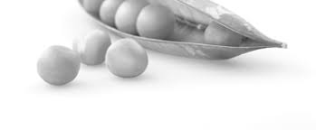 Image result for Blendtone Gray 1972 Hussmann