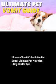 Ultimate Vomit Color Guide For Dogs Ultimate Pet Nutrition Dog Health Tips In 2021 Animal Nutrition Dog Health Tips Dog Health