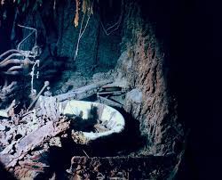 Maybe you would like to learn more about one of these? Wrack Der Titanic Zerfallt Erster Tauchgang Nach 14 Jahren Enthullt Zunehmende Schaden Am Schiffswrack Scinexx De