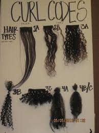 Colorfulkinks Hair Styles Hair Texture Chart Curly Hair Styles