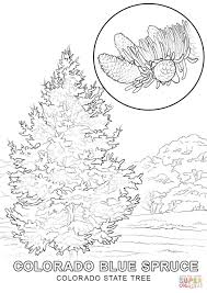 Use crayola® crayons, colored pencils, or markers to color the new york page. New York State Tree Coloring Page Free Coloring Library