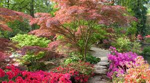 We did not find results for: Oriental Garden