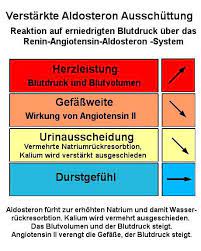 Hoher Blutdruck Ursachen