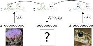 Deep Classifiers Ignore Almost Everything They See And How We May Be Able To Fix It Deep Learning Deep Ignore