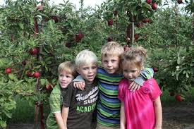 Maybe you would like to learn more about one of these? Jonamac Orchard Archives Making Time For Mommy
