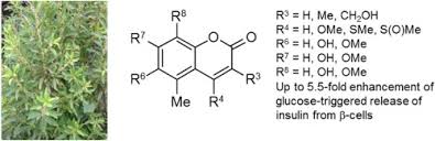 Image result for Clutia