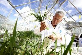 Is that statement made by bayer actually true? Science For A Better Life Chemanager