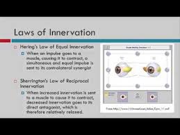 Hess Chart Interpretation By Connie Koklanis