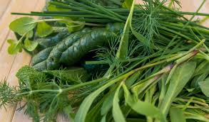 I ravioli agli asparagi selvatici sono un primo piatto vegetariano molto gustoso, ideale per il pranzo della domenica in famiglia. 5 Erbe Spontanee Primaverili Da Usare In Cucina Il Blog Di Soplaya