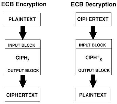 Perform an initial permutation on the plaintext. Cryptography Block Cipher Feistel Block Cipher Inviul