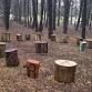 [Nobleton] Hike & Potluck (8km) + Yoga Stretches .... event in Nobleton, ON
