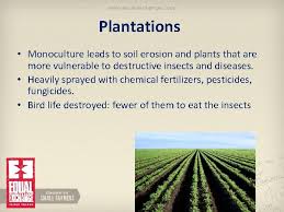 Cultivating a few key crops enabled us to turn our minds and energies to but, monoculture doesn't have to be this way. Small Farmers Big Change Fair Trade And The