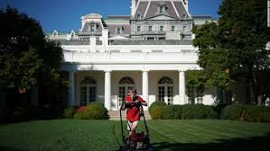 She'll be collaborating with members of the committee for the preservation of the white house, as well as the landscape architecture firms perry guillot and oehme, van sweden. Your Guide To Melania Trump S Rose Garden Renovations Cnnpolitics