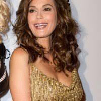 Next 'Housewives' Trial: Teri Hatcher Fights Former Partner Over  Computer-Hacking Claim