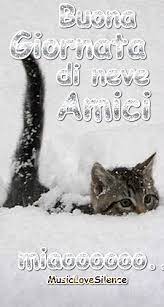 Buona Giornata Di Neve Amici Miao Musiclovesilence Buongiorno Immagini Buona Giornata Buongiorno