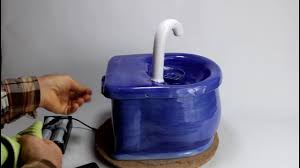 Is your cat eating well? Cordless Cat And Dog Water Fountain With Internal Battery Youtube