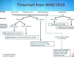 Who 2016 Flowchart For Brain Tumors Peripheral Brain