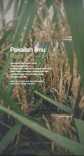 We did not find results for: Padi Semakin Berisi Semakin Merunduk
