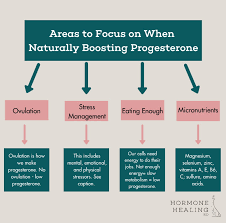 Image result for Progesterone