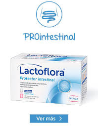 Probioticos Y Prebioticos Para La Flora Intestinal Lactoflora