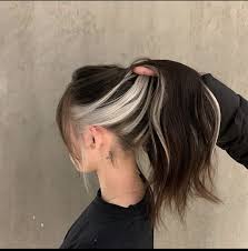 Pin By Kaylee Santoro On As Inspiracoes Pra Cabelo Ai In 2020 Aesthetic Hair Hair Inspo Color Hair Color Underneath