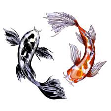 Ink has left its mark on everything from religious manuscripts to fortune cookies. Two Koi Carps With Red And Black Spots Hand Drawn Vector Illustration Full Color Sketch Koi Fish Drawing Illustration Art Drawing Koi Art