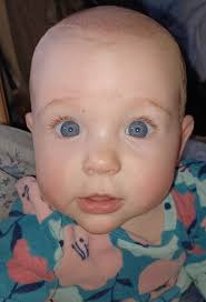 The Thorn, the Music, the Flowers film Production by BlueLight Productions.