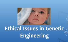 Most ethical discussions about genome editing center on human germline editing because changes lastly, commenters on the issue are concerned that the use of genome editing for reproductive (2015). Ethical Issues In Genetic Engineering By Maddi Mondin