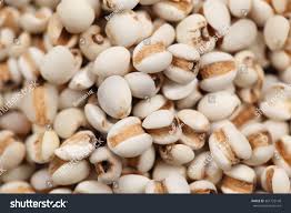 Image result for Coix