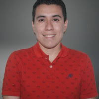 100+ perfiles de «Luis Gerardo Torres»