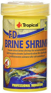 Tropical Fd Brine Shrimp 8g 100ml 01153 Tropical Https Www Amazon In Dp B01m4k91jv Ref Cm Sw R Pi Dp U X Roinbbj98nbrp Brine Shrimp Fish Recipes Brine