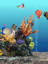 Animated Wallpapers Screensavers For Cellphones 240x320 Animated Wallpapers For Mobile Aquarium Live Wallpaper Beautiful Wallpaper For Phone
