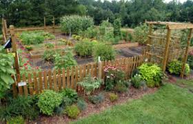 You must not burn a pressure treated wood, old or new, whether it's in stoves, hearthside, or outdoors. Dispose Of Pressure Treated Lumber Properly Growing A Greener World