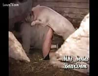 Maybe you would like to learn more about one of these? Cochon Video Porno Extreme Luxuretv Page 2