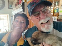 Bokke win with score 43-10