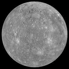 Government securities and money market funds for improved yield and security. Mercury