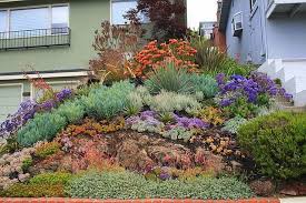 Vida Suculenta Succulents Gardens By David Feix Landscape Design Paisagismo Suculento Jardim De Plantas Suculentas Suculentas