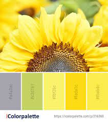 Color Palette Ideas From Flower Yellow Sunflower Image Color Palette Yellow Sunflower Images Paint Color Schemes