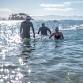 Race 2: Rylock, 2km Eyebright Mile event image