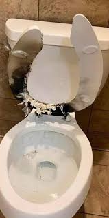 Carnell Nichols Jr. added a new photo.