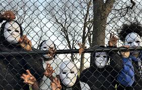 Edita Biro Helps Provide Aid to Her Home Country Ukraine