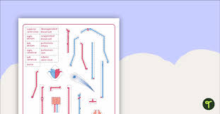 Image result for Cardiovascular Worksheets