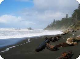 Camp Here Kalaloch Campground Olympic National Park Northwest Tripfinder Best Campgrounds Washington Camping Washington Travel