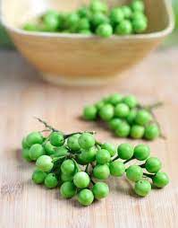 Thai Eggplant Seeds Aubergine Seed Solanum Melongena Pearound Etsy In 2021 Eggplant Seeds Eggplant Seeds