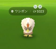 For items shipping to the united states, visit pokemoncenter.com. ãƒã‚±ãƒ¢ãƒ³go è‰²é•ã„ãƒ¯ã‚·ãƒœãƒ³ ã®ç¢ºçŽ‡ãŒé¬¼ã™ãŽã‚‹ 727åŒ¹æ•ã¾ãˆãŸçµæžœ ãƒ­ã‚±ãƒƒãƒˆãƒ‹ãƒ¥ãƒ¼ã‚¹24