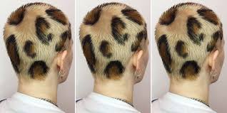 Very easy to do if you know how! Leopard Print Hair Leopard Print Dye Job