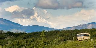 Check spelling or type a new query. Bus Tours Denali National Park Preserve Ak Reservedenali Com