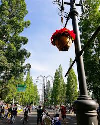 Kalau ingin memotret dari jendela pesawat tentunya anda harus duduk di dekat jendela, dan usahakan pilih tempat duduk yang sedikit jauh dari sayap supaya. Selamat Pagi Menjelang Siang Dari Bandung Hari Terakhir Di Tahun 2017 Nih Sudah Siap Menyambut Tahun 2018 Ap Pemandangan Malam Tahun Baru Ide Kamar Tidur