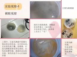 一枚戒指 一枚五分的硬币 一枚邮票 一枚纪录章 三枚奖章. åªè¦ä¸€ç‚¹ç‚¹å¹¸ç¦å…¨å¯å®¤ åƒè´§å'Œé…'é…¿çš„æ•…äº‹å•å–†ppt Download