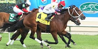 Was that a maiden race at ellis or the kentucky derby? trainer d. Denny Velazquez Canterbury Park